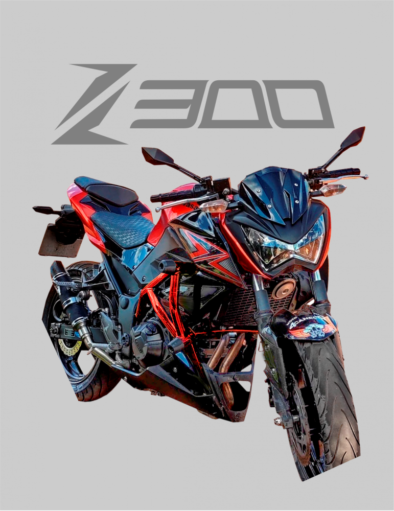 z300m-771x1000.png